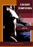 Caught Temptation (Caribbean Heat, Caribbean Desire, #3) (eBook, ePUB)