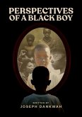 Perspectives of a Black Boy (eBook, ePUB)