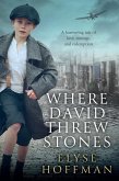 Where David Threw Stones (eBook, ePUB)
