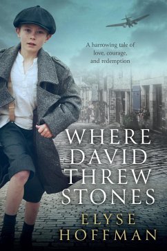 Cover Where David Threw Stones (eBook, ePUB)