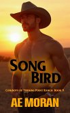 Song Bird (Cowboys of Turning Point Ranch, #9) (eBook, ePUB)