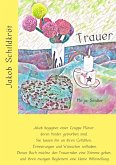 Jakob Schildkröt (eBook, ePUB) Jakob Schildkröt (eBook, ePUB)