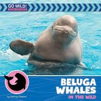 Beluga Whales in the Wild