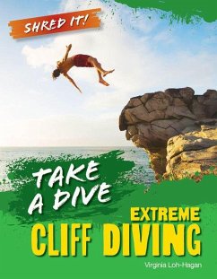 Cover Take a Dive