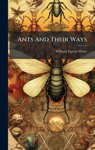 Ants And Their Ways