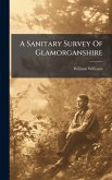 A Sanitary Survey Of Glamorganshire A Sanitary Survey Of Glamorganshire