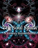 The Soul Spark The Soul Spark