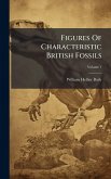 Figures Of Characteristic British Fossils Figures Of Characteristic British Fossils