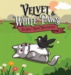 Velvet & White Paws