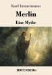 Merlin - Bild 1