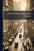 Souvenir of Ausable Chasm
