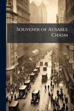 Souvenir of Ausable Chasm