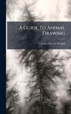 A Guide To Animal Drawing A Guide To Animal Drawing