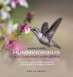 AMAZING HUMMINGBIRDS YOU CAN FIND IN ARIZONA AMAZING HUMMINGBIRDS YOU CAN FIND IN ARIZONA