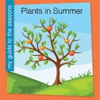 Plants in Summer