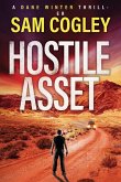 Hostile Asset