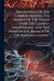 Engravings Of The Cardiac Nerves, The Nerves Of The Ninth Pair, The Glosso-pharyngeal, And The Pharyngeal Branch Of The Pneomo-gastric Engravings Of The Cardiac Nerves, The Nerves Of The Ninth Pair, The Glosso-pharyngeal, And The Pharyngeal Branch Of The Pneomo-gastric
