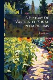 A History Of Variegated Zonal Pelagoniums A History Of Variegated Zonal Pelagoniums