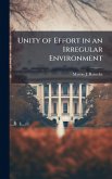 Unity of Effort in an Irregular Environment