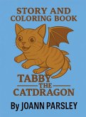 Tabby the CatDragon
