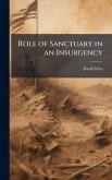 Role of Sanctuary in an Insurgency