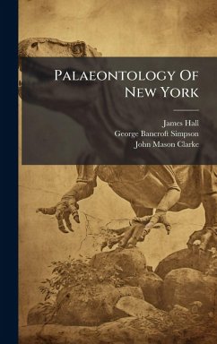 Cover Palaeontology Of New York