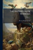 The Amphipoda Of Bermuda
