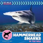 Hammerhead Sharks in the Wild