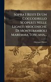 Sopra I Resti Di Un Coccodrillo Scoperti Nelle Ligniti Mioceniche Di Montebamboli Maremma Toscana...