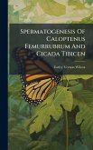 Spermatogenesis Of Caloptenus Femurrubrum And Cicada Tibicen
