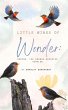 Little Wings of Wonder: Robins, the... - Bild 1