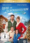 Liebe im Schneesturm - Christmas in Alaska Liebe im Schneesturm - Christmas in Alaska