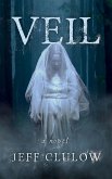 Veil (eBook, ePUB)