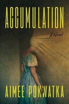 Cover Accumulation (eBook, ePUB)