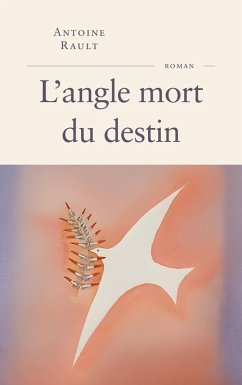 Cover L'angle mort du destin (eBook, ePUB)