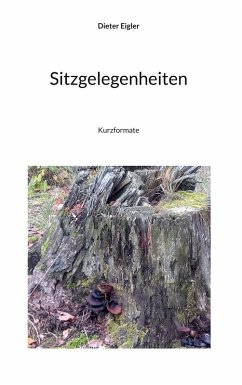 Sitzgelegenheit - Eigler, Dieter