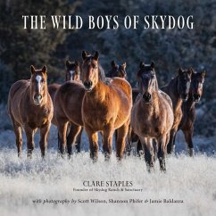 Cover The Wild Boys of Skydog