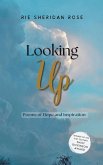 Looking Up