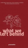 What We Left Behind What We Left Behind