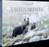 Ursus Brenta - Die Rückkehr der Bären... - Bild 1