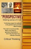 Perspective (eBook, ePUB)