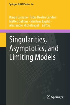 Cover Singularities, Asymptotics, and Limiting Models (eBook, PDF)