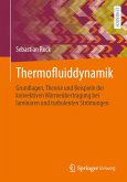 Thermofluiddynamik (eBook, PDF)