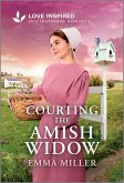 Courting the Amish Widow (eBook, ePUB)