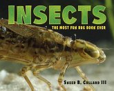 Insects (eBook, ePUB)