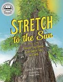 Stretch to the Sun (eBook, ePUB)