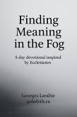 Finding Meaning in the Fog (eBook, ePUB)