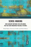 Sense-Making (eBook, PDF)