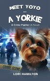 Meet Yoyo - A Yorkie