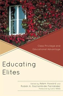Educating Elites (eBook, PDF)